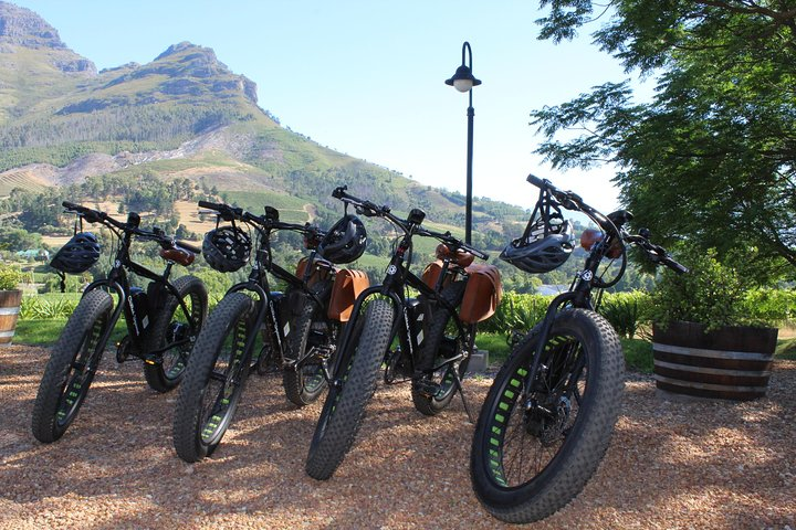 E-Bike Wine Tour Stellenbosch Countryside (Half Day) - Photo 1 of 3